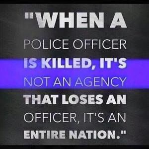 Meet your Posher, Bob